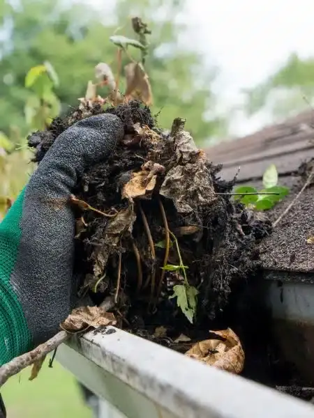 cleaning gutters hand