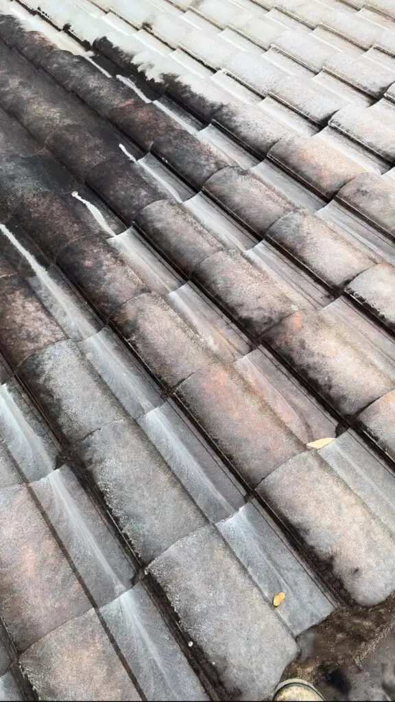 results in action tile roof