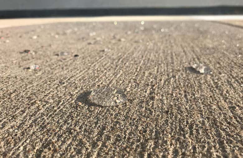 Water sealed concrete