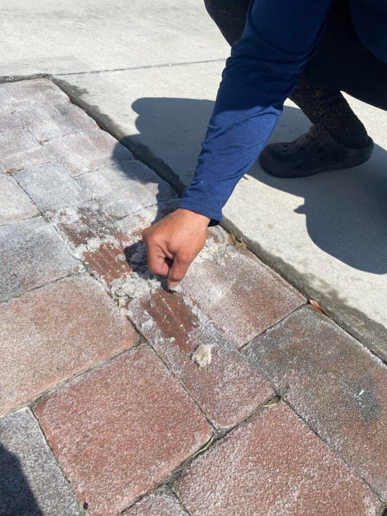 failed sealer example